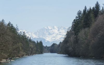 Aare mit Blüemlisalp